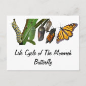 LEVENSCYCLUS VAN MONARCH BRIEFKAART (Voorkant)