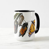 LEVENSCYCLUS VAN MONARCH MOK (Voorkant rechts)