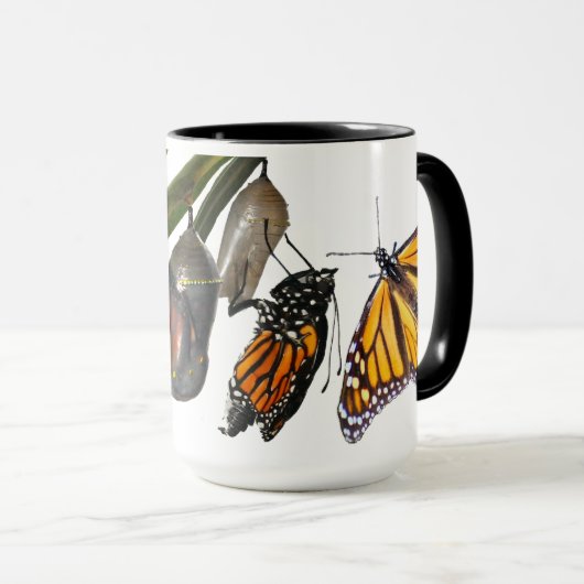 LEVENSCYCLUS VAN MONARCH MOK (Voorkant rechts)