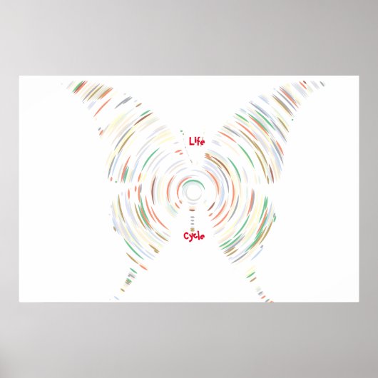 LevenscyclusPoster Poster (Voorkant)