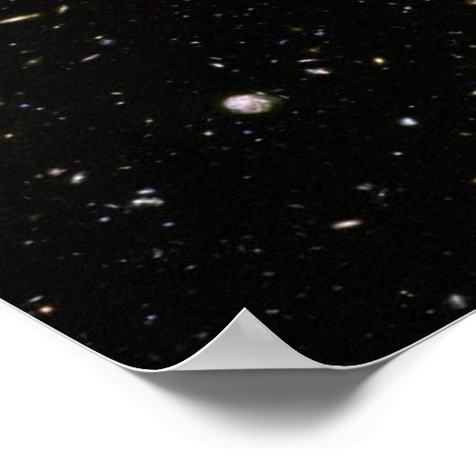 Levensdiagram met Hebreeuwse labels Poster (Hoek)