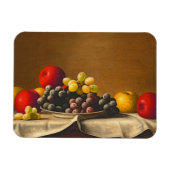 Levensduur, appels, druiven, fruit magneet (Horizontaal)