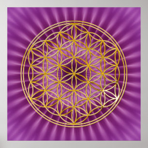 LEVENSDUUR   goud, magenta shine Poster