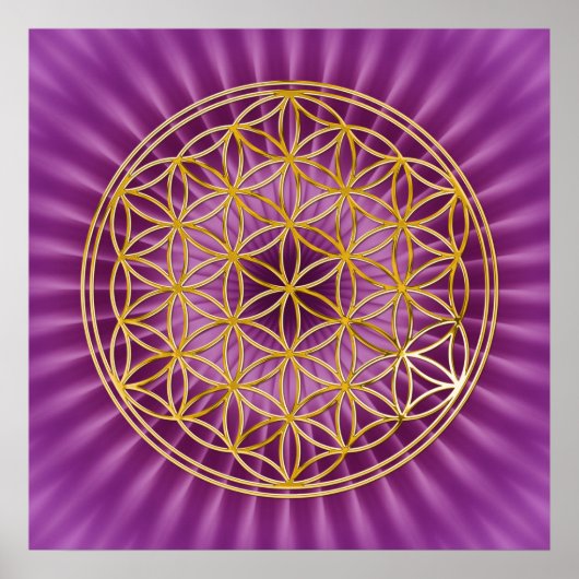 LEVENSDUUR | goud, magenta shine Poster (Voorkant)