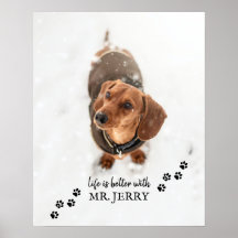 Levensduur is beter met aangepaste Dog Photo Dog N