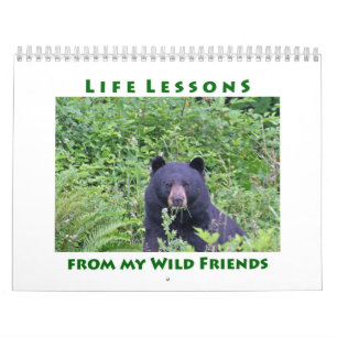 Levensduur Lessons Animal Calendar Kalender