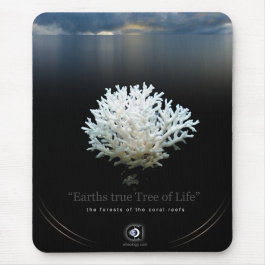 LEVENSDUUR MUISMAT (Voorkant)