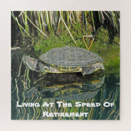 Levensduur na stillegging waterreflectie Pensioenu Legpuzzel