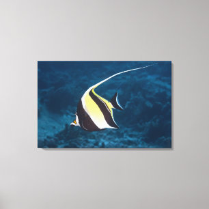 Levensduur onder water;FISH: A Moorish Idol (Zancl Canvas Afdruk