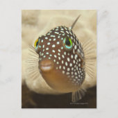 Levensduur onder water; FISH: Sluiten portret van  Briefkaart (Voorkant)