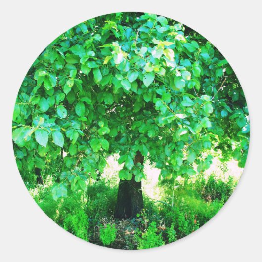 LEVENSDUUR RONDE STICKER (Voorkant)