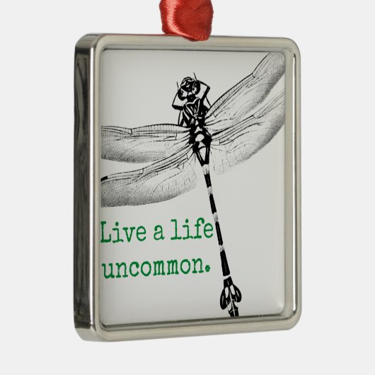 Levensduur Soms Dragonfly Metalen Ornament (Rechts)