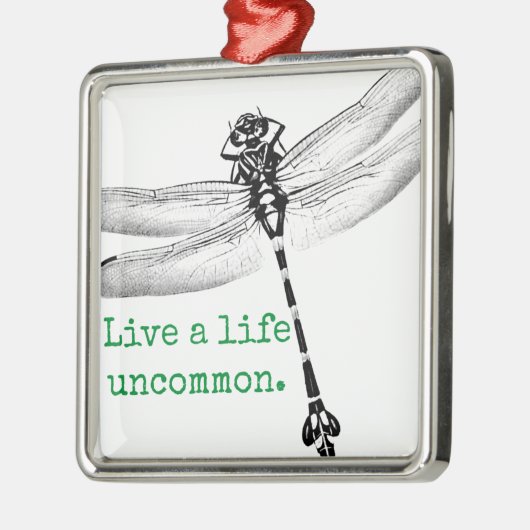 Levensduur Soms Dragonfly Metalen Ornament (Links)