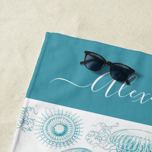 Levensduur van Blauwgroen zee voor kustturquoise a Strandlaken (In situ)