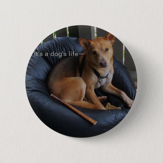 Levensduur van de hond ronde button 5,7 cm (Voorkant)