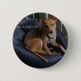 Levensduur van de hond ronde button 5,7 cm