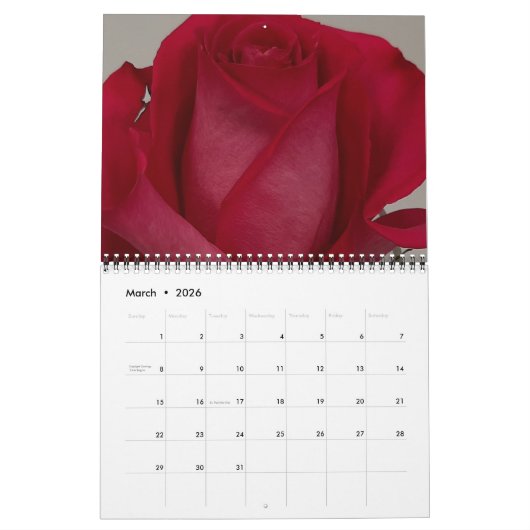 Levensduur van een Roos Kalender (Mar 2026)