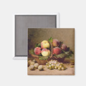 Levensduur van fruit magneet (Voorkant / Achterkant)