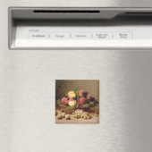 Levensduur van fruit magneet (Insitu (Vaatwasser))