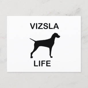 levensduur van het visum briefkaart