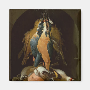 Levensduur van vogels magneet