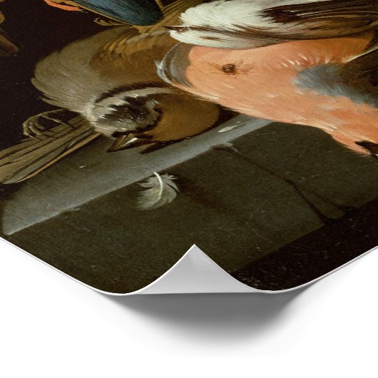 Levensduur van vogels poster (Hoek)