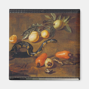 Levensduur van vruchten uit Suriname en Reptiles Magneet