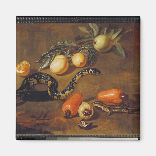 Levensduur van vruchten uit Suriname en Reptiles Magneet (Voorkant)