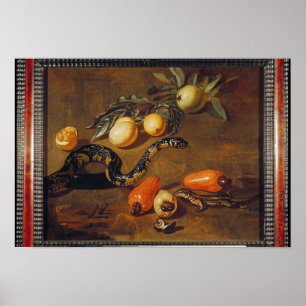 Levensduur van vruchten uit Suriname en Reptiles Poster