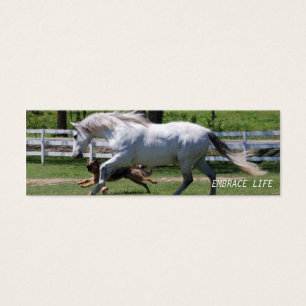 LEVENSDUUR VOOR HORSE EN DOG MINI VISITEKAARTJES