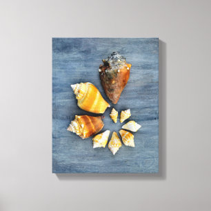 Levensfasen Canvas Afdruk