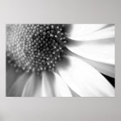 Levensfasen Poster (Voorkant)