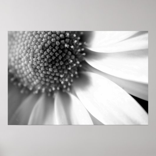 Levensfasen Poster (Voorkant)