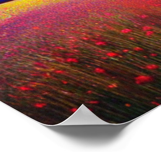 Levensgebied Poster (Hoek)