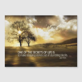 Levensgeheim (Voorkant)