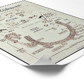 Levensgeschiedenis van de malaria parasite plasmod poster (Hoek)