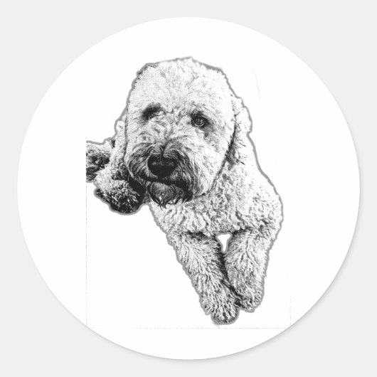 Levensgetrouwe Lagotto Pup Ink Art Sticker (Voorkant)