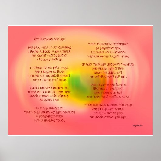 LEVENSINSTRUCTIES POSTER (Voorkant)