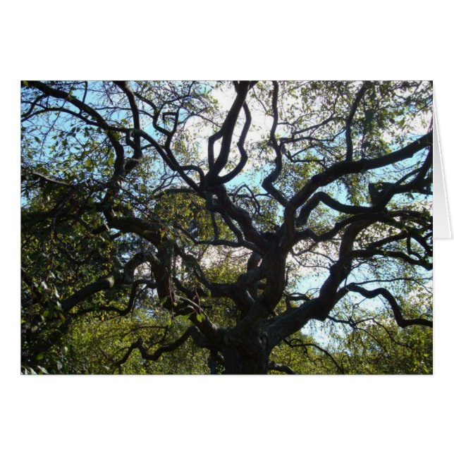 Levenskaart (Voorkant Horizontaal)