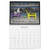 Levenskalender van een kattenbank kalender (Mar 2027)
