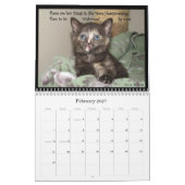 Levenskalender van een kattenbank kalender (Feb 2027)