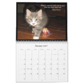 Levenskalender van een kattenbank kalender (Jan 2027)