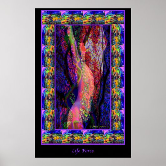 Levenskracht Poster (Voorkant)