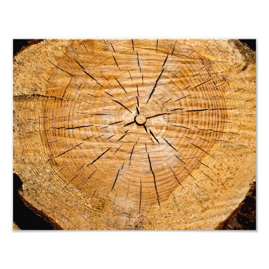 Levenslang Foto Afdruk (Voorkant)