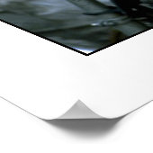 Levenslang fotografie Poster/druk 24x31 Poster (Hoek)