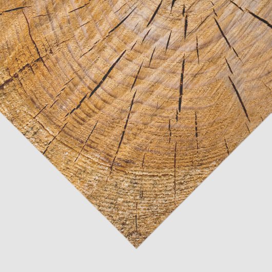 Levenslang Tissuepapier (Detail)