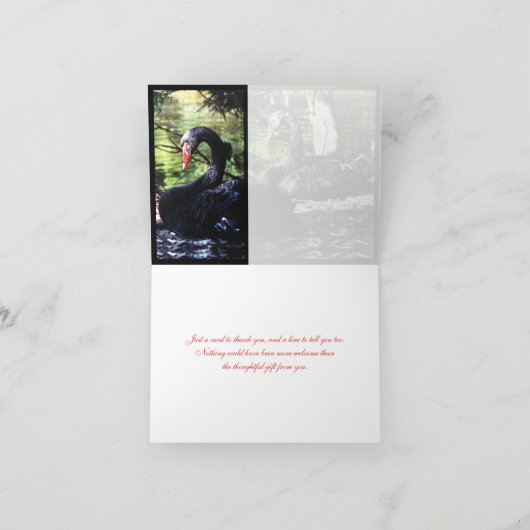 Levenslange vrienden Zwarte zwanen bedankkaart (Binnen)