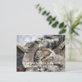 Levenslessen van je huisdier Motivatie Feestdagenkaart (Staand voorkant)