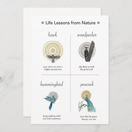 Levenslessen van Natuur Grote platte Kaart (Voorkant / Achterkant)