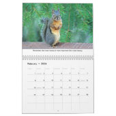 Levenslessen van Squiggy the Squirrel Calendar Kalender (Feb 2026)